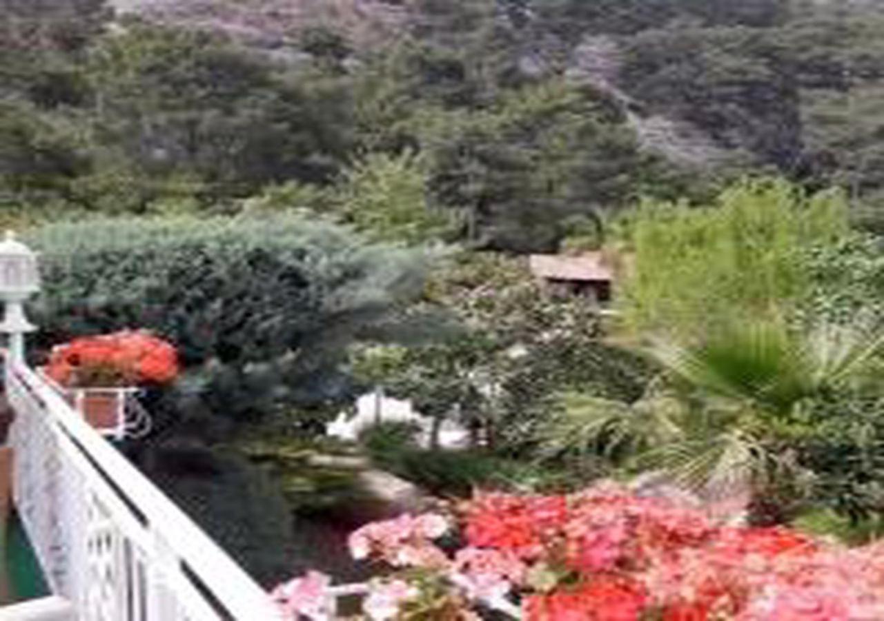 Miramor Hotel & Spa Antália Exterior foto The gardens of the hotel